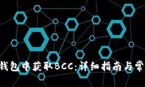 如何在BTC钱包中获取BCC：详细指南与常见问题解答