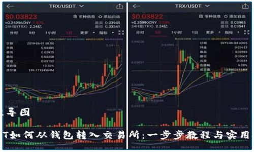 思维导图

USDT如何从钱包转入交易所：一步步教程与实用技巧