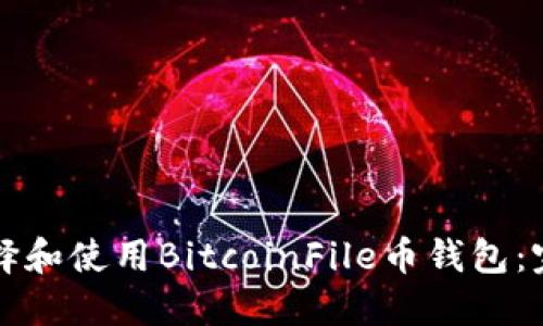 如何选择和使用BitcoinFile币钱包：完整指南