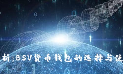 全面解析：BSV货币钱包的选择与使用指南