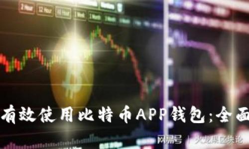 如何有效使用比特币APP钱包：全面指南