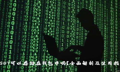 USDT可以存储在钱包中吗？全面解析及使用指南