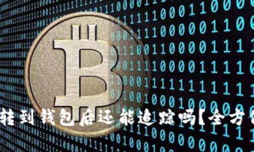 USDT转到钱包后还能追踪吗？全方位解析