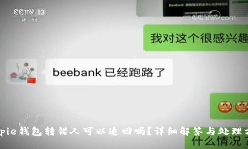 Bitpie钱包转错人可以追回吗？详细解答与处理方案