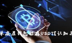 什么单底层钱包能存USDT？