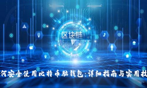 如何安全使用比特币脑钱包：详细指南与实用技巧