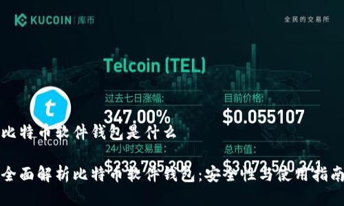 比特币软件钱包是什么

全面解析比特币软件钱包：安全性与使用指南