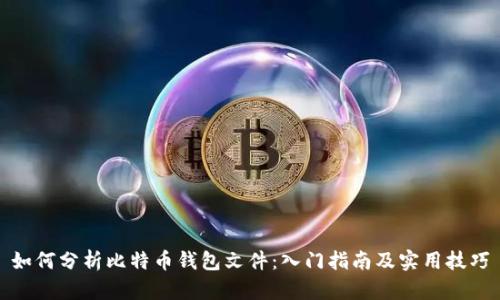 如何分析比特币钱包文件：入门指南及实用技巧