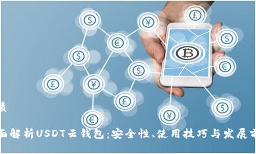 优质

全面解析USDT云钱包：安全性、使用技巧与发展前景