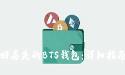 如何找回丢失的BTS钱包：详细指南与技巧