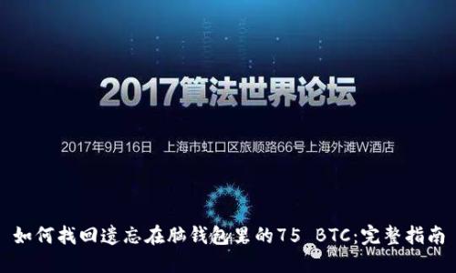 如何找回遗忘在脑钱包里的75 BTC：完整指南