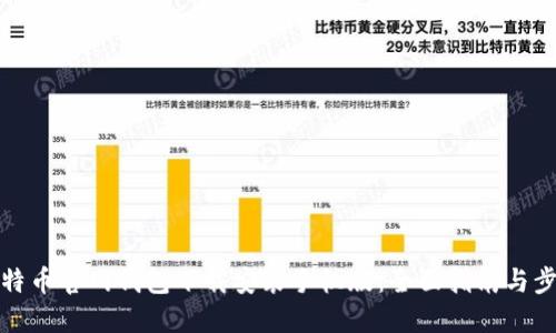 比特币官网钱包下载安装手机版：全面指南与步骤