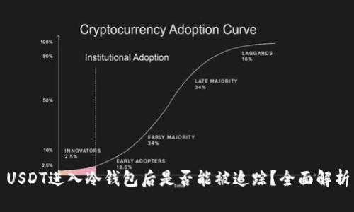 USDT进入冷钱包后是否能被追踪？全面解析