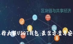 如何选择大额USDT钱包：最