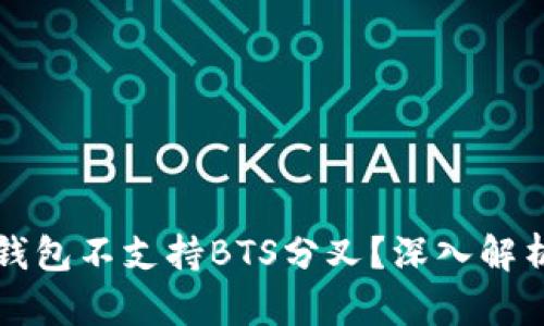 为什么鼓鼓钱包不支持BTS分叉？深入解析及解决方案