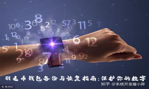 羽毛币钱包备份与恢复指南：保护你的数字