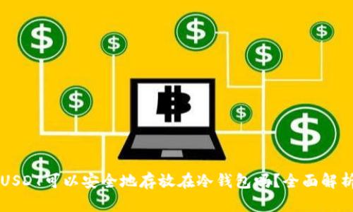 USDT可以安全地存放在冷钱包吗？全面解析