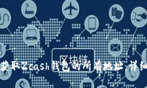 如何获取Zcash钱包的所有地址：详细指南