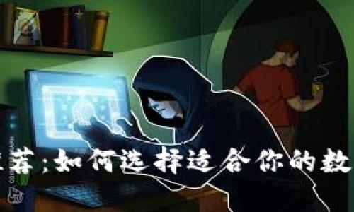 数字货币钱包推荐：如何选择适合你的数字资产管理工具