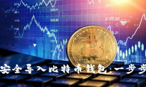 如何安全导入比特币钱包：一步步指南