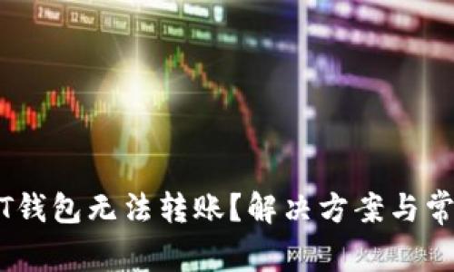 为什么USDT钱包无法转账？解决方案与常见问题分析