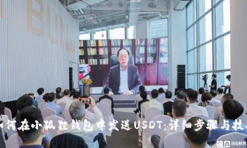 如何在小狐狸钱包中发送USDT：详细步骤与技巧
