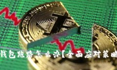 比特币私人钱包跑路怎么