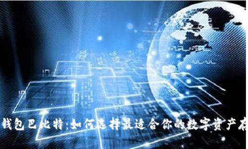 比特币钱包巴比特：如何选择最适合你的数字资产存储方案