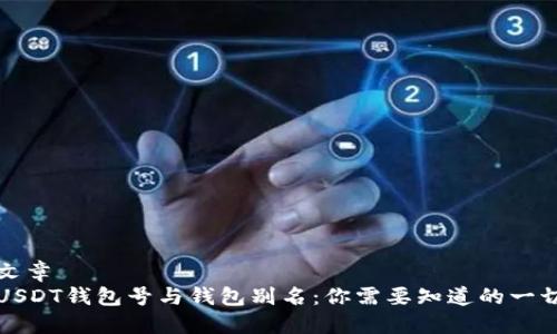 文章
USDT钱包号与钱包别名：你需要知道的一切