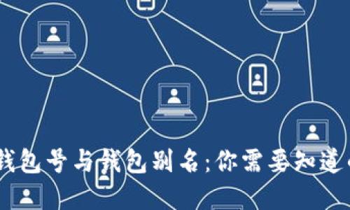 文章
USDT钱包号与钱包别名：你需要知道的一切