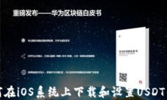 如何在iOS系统上下载和设