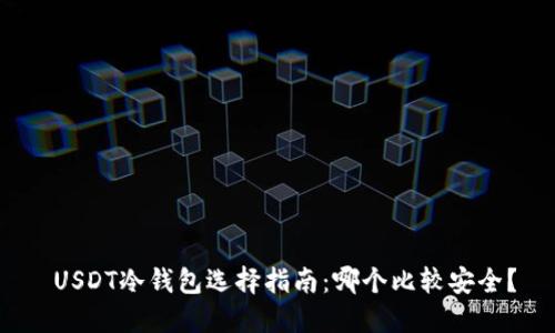  USDT冷钱包选择指南：哪个比较安全？