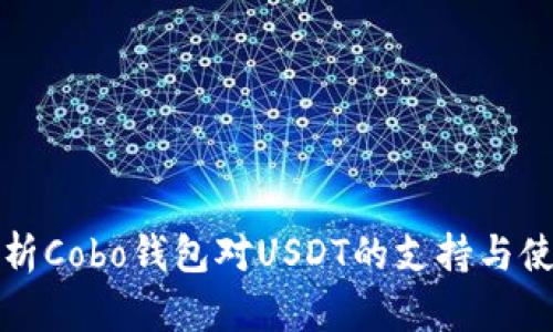 全面解析Cobo钱包对USDT的支持与使用指南