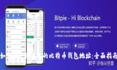 如何恢复被遗忘的比特币