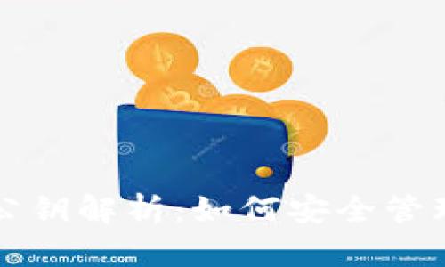 比特币钱包的公钥解析：如何安全管理你的数字资产