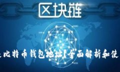 什么是比特币钱包地址？全面解析和使用指南