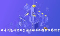 比特币钱包所需的空间详解与选择最佳存储方案