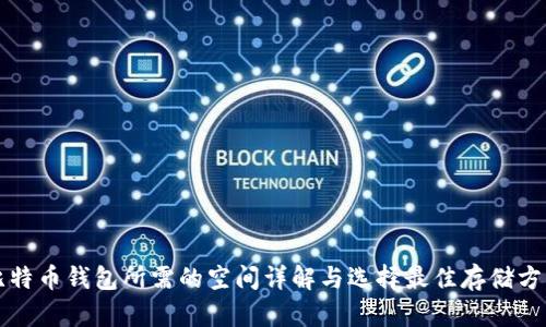 比特币钱包所需的空间详解与选择最佳存储方案