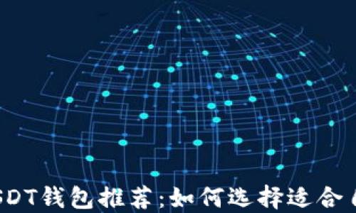 
2023年最安全的USDT钱包推荐：如何选择适合自己的数字货币钱包
