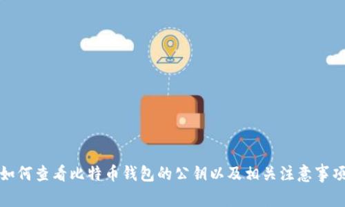 如何查看比特币钱包的公钥以及相关注意事项