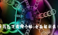 比特币钱包下载哪个好：全面解析最佳选择