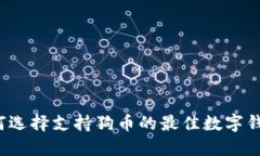 如何选择支持狗币的最佳