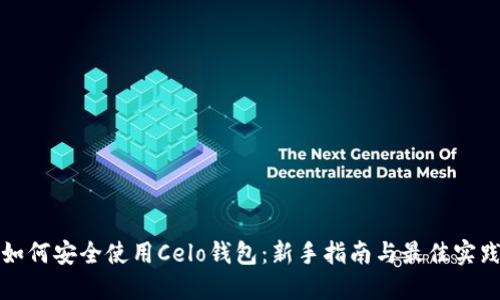 如何安全使用Celo钱包：新手指南与最佳实践