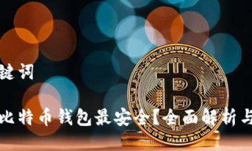 与关键词

哪种比特币钱包最安全？全面解析与推荐