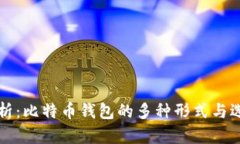 深入解析：比特币钱包的多种形式与选择指南