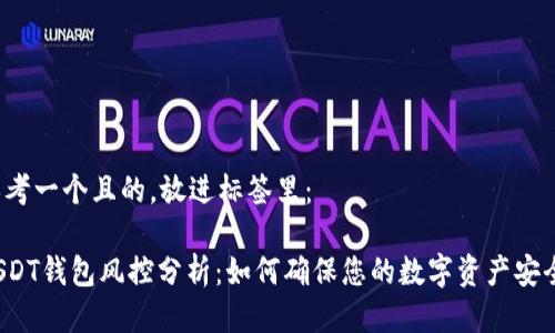 思考一个且的，放进标签里：

USDT钱包风控分析：如何确保您的数字资产安全？