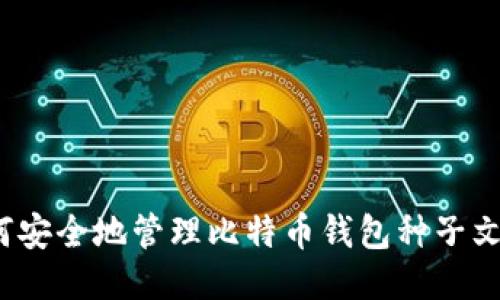 如何安全地管理比特币钱包种子文件？