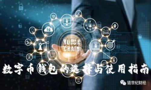 数字币钱包的选择与使用指南
