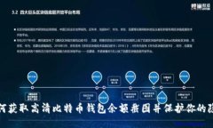 如何获取高清比特币钱包