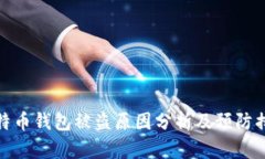 比特币钱包被盗原因分析
